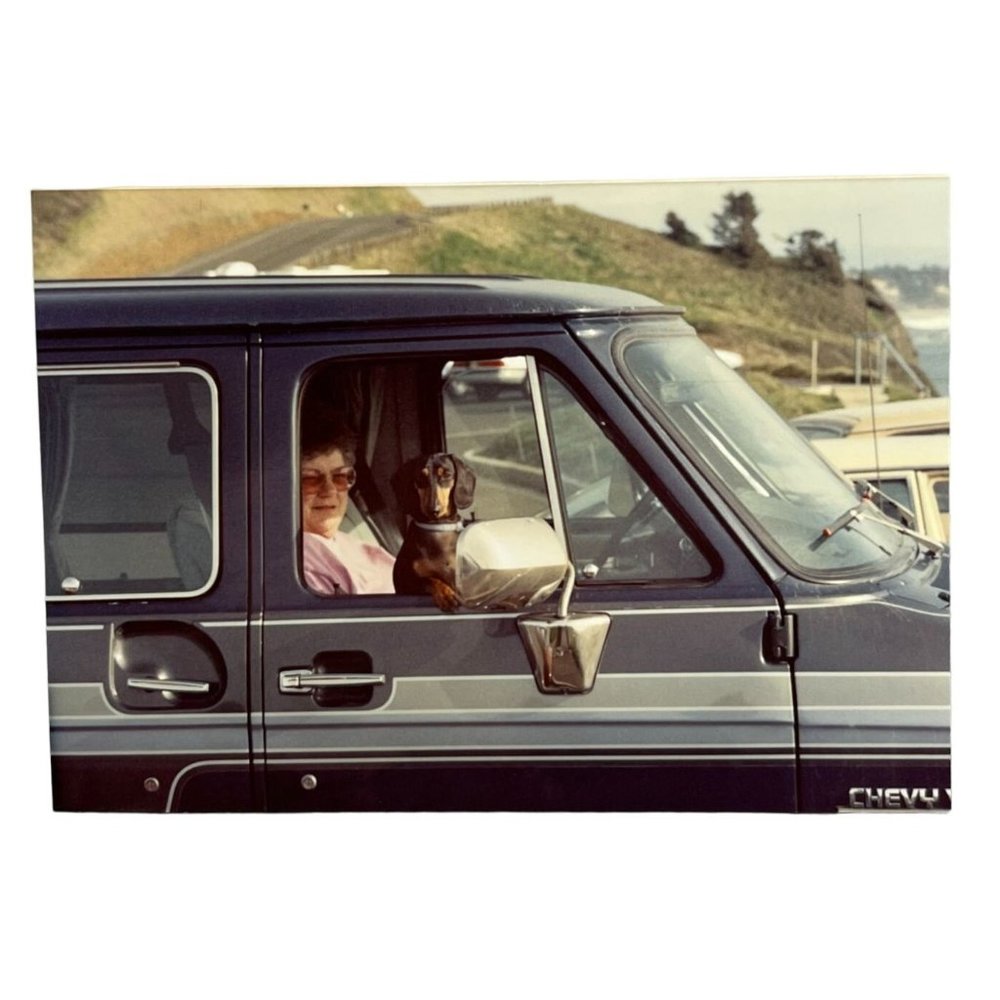 Dachsund Dog with Owner in Van Window Found Photo Snapshot 1994 Travel Picture